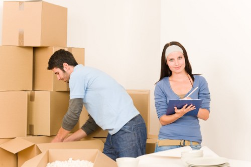 Selection of sturdy cartons and wrapping materials for local moves