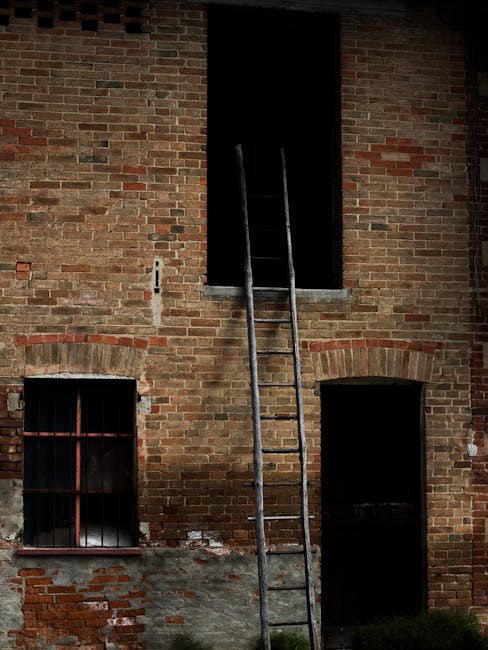 The image shows the exterior of a brick building with two windows and a doorway, all boarded up or blocked. A metal extension ladder is positioned against the wall, leading to a narrow upper window or opening at the top of the building. The lower window has metal bars, and the brickwork appears weathered with patches of missing mortar. The scene is outdoors, with natural lighting, and part of the ground is visible at the bottom of the image. The ladder and building suggest ongoing or planned work, such as renovation or maintenance, which could relate to home relocation or building access for furniture transport, as seen in house removals services offered by Man with Van Harringay.